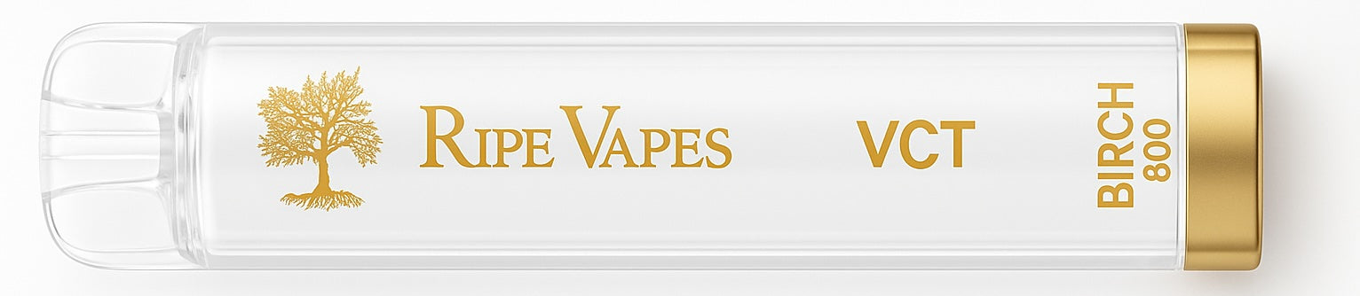 Cheap Disposable Vapes Under 10