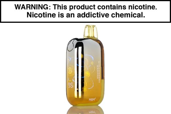 INTO BIT DISPOSABLE VAPE - 50,000 PUFFS