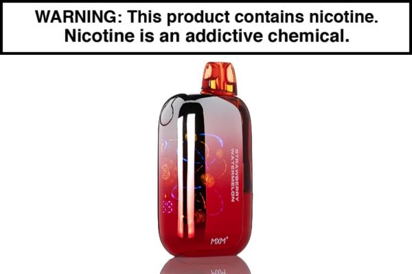 INTO BIT DISPOSABLE VAPE - 50,000 PUFFS
