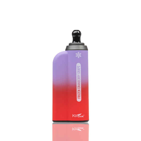 Kangvape Onee Max 6500 Puffs Disposable 10-Pack