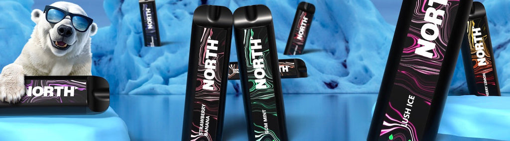 all north vape flavors Peach Plus Lost Mary MO20000 PRO Vape main image 0