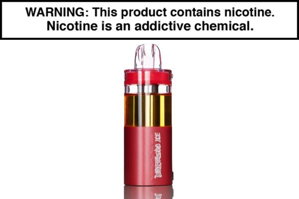 INTO 50K DISPOSABLE VAPE - FOGER COMPATIBLE - 50,000 PUFFS