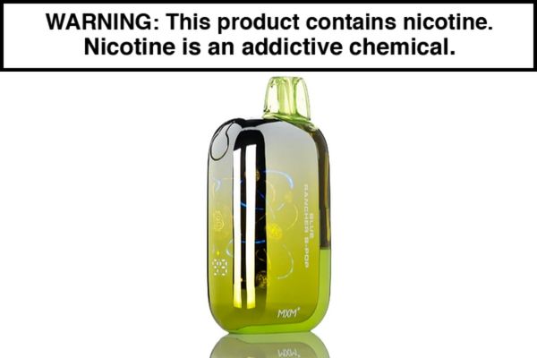 INTO BIT DISPOSABLE VAPE - 50,000 PUFFS