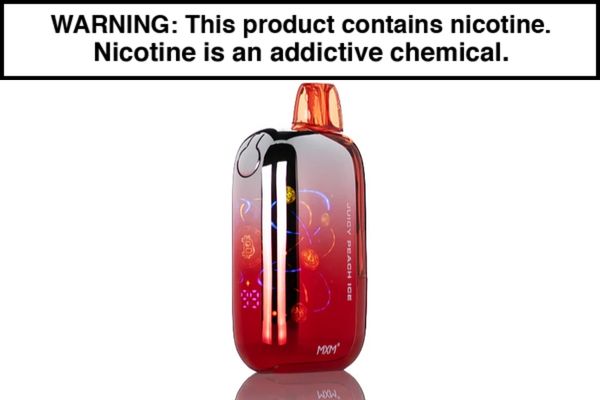 INTO BIT DISPOSABLE VAPE - 50,000 PUFFS