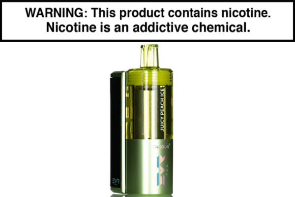 EVRFOG 100K Kit Disposable Vape 100,000 Puffs - Image 4